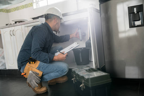 Best Local Plumber Services  in Raceland, KY